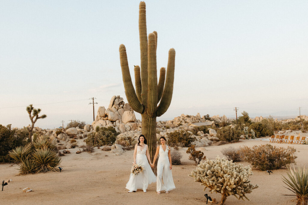 two brides holding hands in front of giant cactus